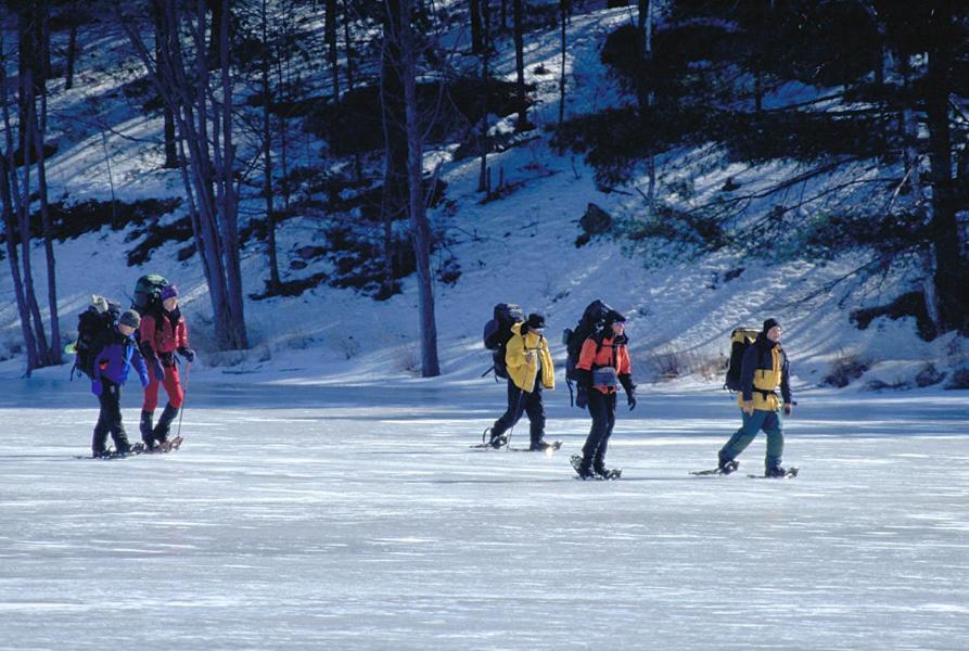 Taboo Muskoka Hotel Gravenhurst Bagian luar foto