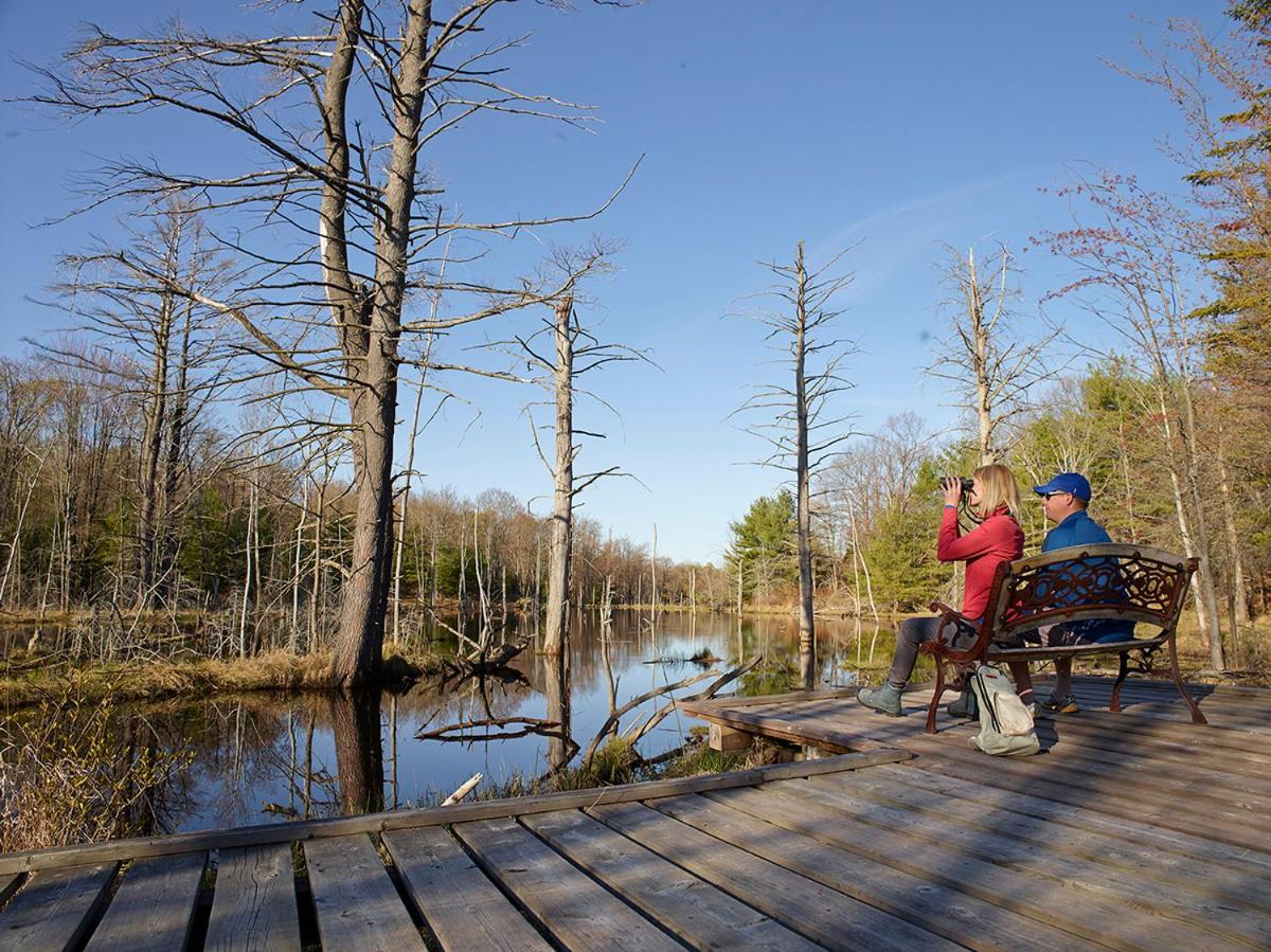 Taboo Muskoka Hotel Gravenhurst Bagian luar foto